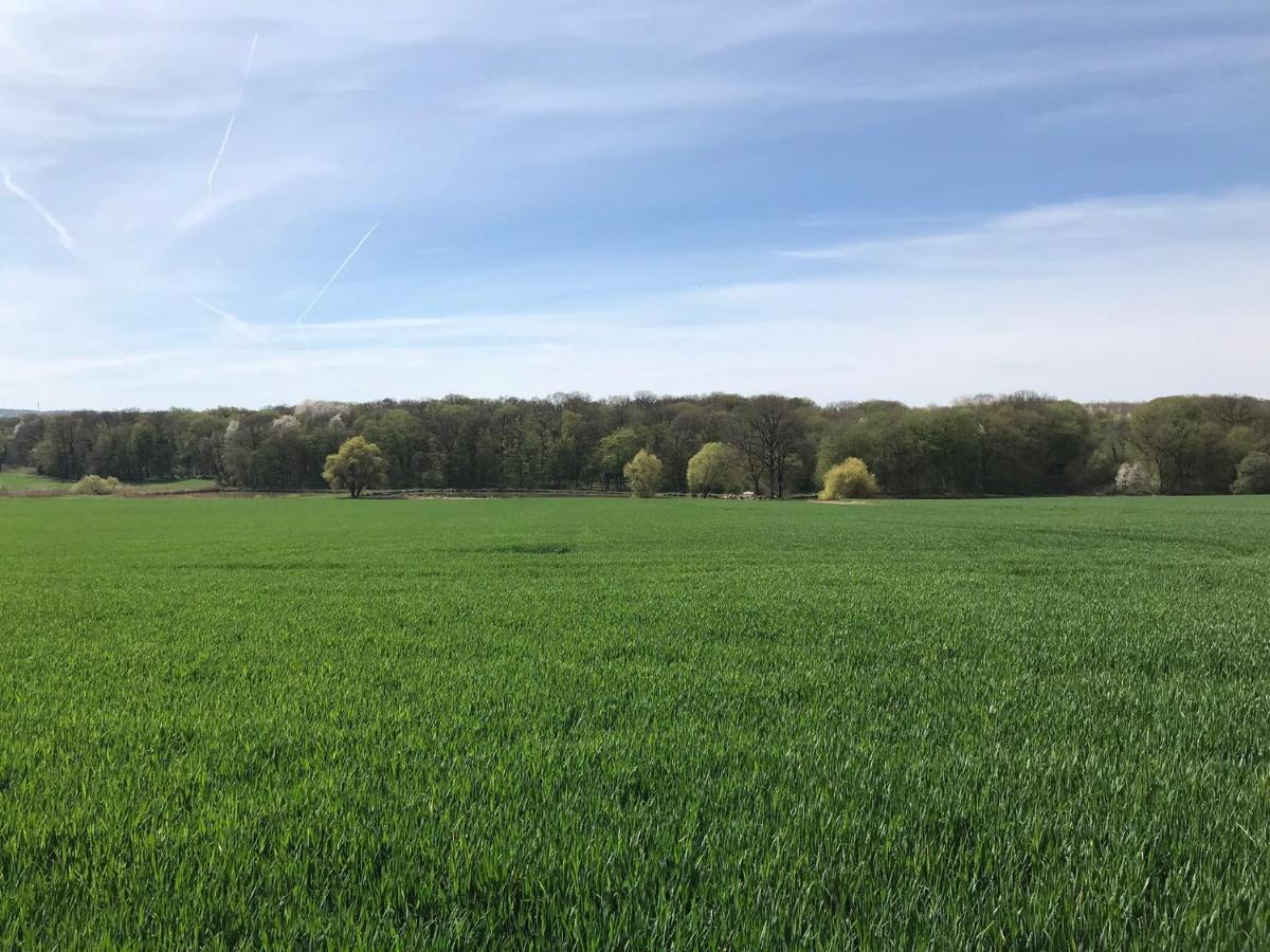 L Oree Du Bois Moncheux Buitenkant foto